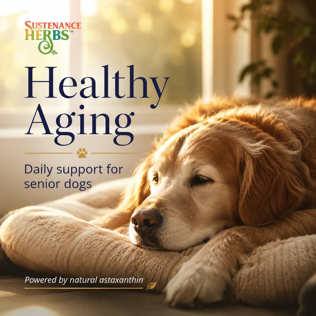 Sustenance Herbs Asta-Pet | Natural Astaxanthin Antioxidant Support