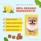 CocoTherapy Maggie's Macaroons Coconut Lemoncello | Soft Organic Coconut Treats