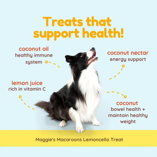 Maggie's Macaroons Coconut Lemoncello | Soft Organic Coconut Treats