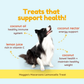 CocoTherapy Maggie's Macaroons Coconut Lemoncello | Soft Organic Coconut Treats