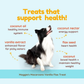 CocoTherapy Maggie's Macaroons Coconut Vanilla Flax | Soft Organic Coconut Treats
