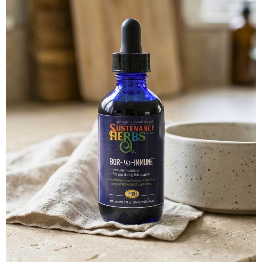 Sustenance Herbs Bor-L-Immune | Natural Tick Season Immune Support