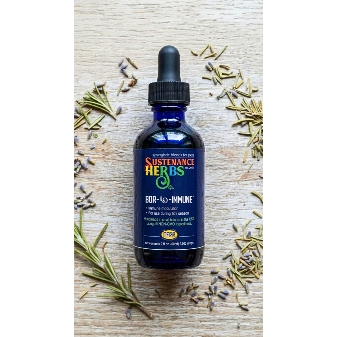 Sustenance Herbs Bor-L-Immune | Natural Tick Season Immune Support