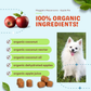 CocoTherapy Maggie's Macaroons Coconut Apple Pie | Soft Organic Coconut Treats