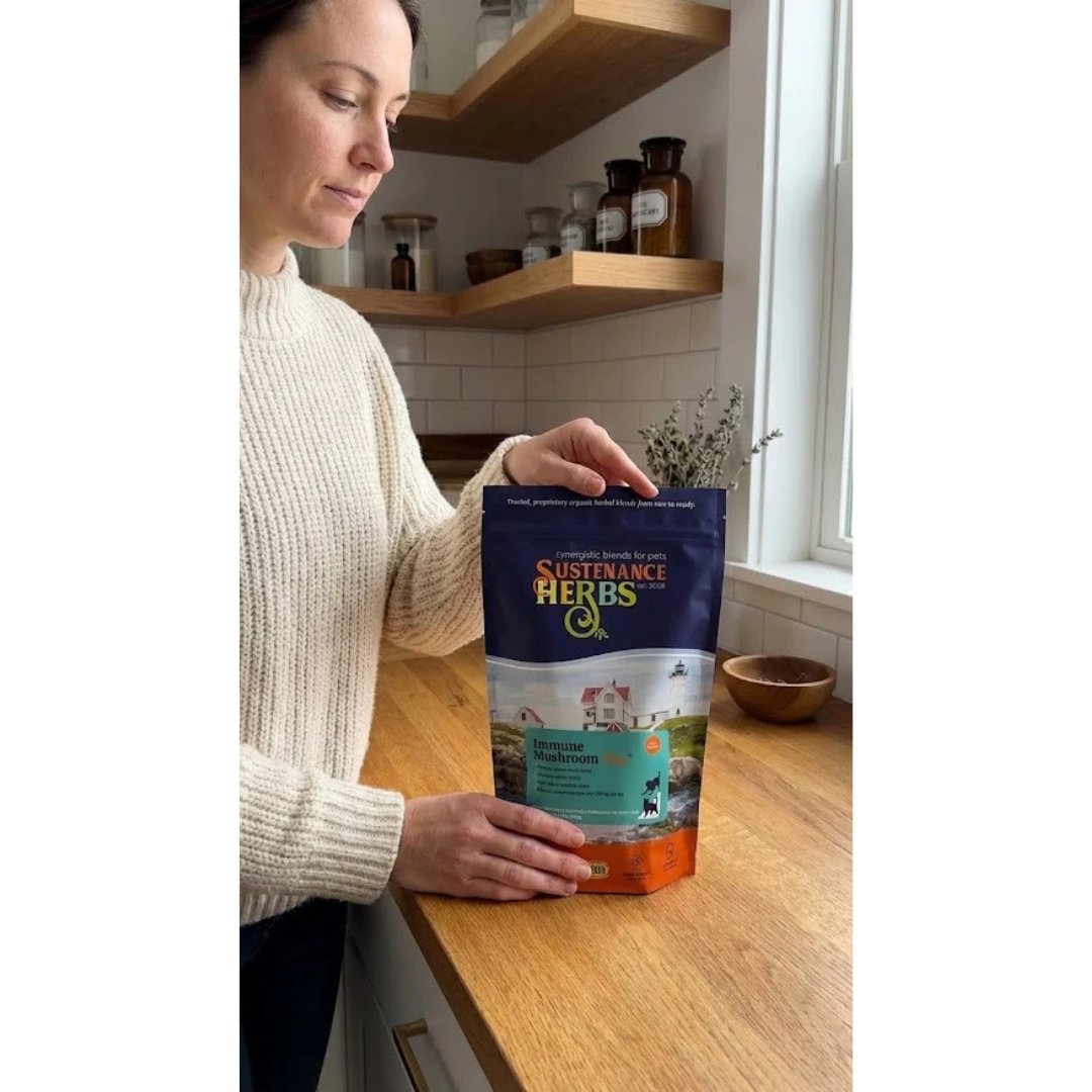 Sustenance Herbs Immune Mushroom Plus | Organic Mushroom Blend