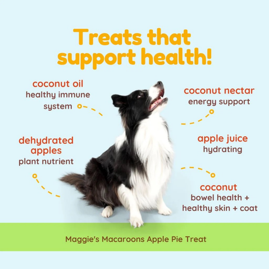 Maggie's Macaroons Coconut Apple Pie | Soft Organic Coconut Treats