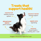 CocoTherapy Maggie's Macaroons Coconut Apple Pie | Soft Organic Coconut Treats