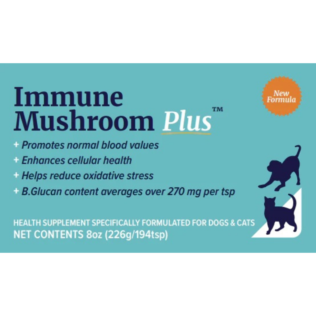 Sustenance Herbs Immune Mushroom Plus | Organic Mushroom Blend