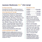 Sustenance Herbs Immune Mushroom Plus | Organic Mushroom Blend