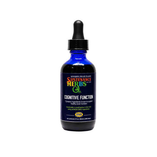 Sustenance Herbs Cognitive Function | Natural Brain Support for Senior Dogs