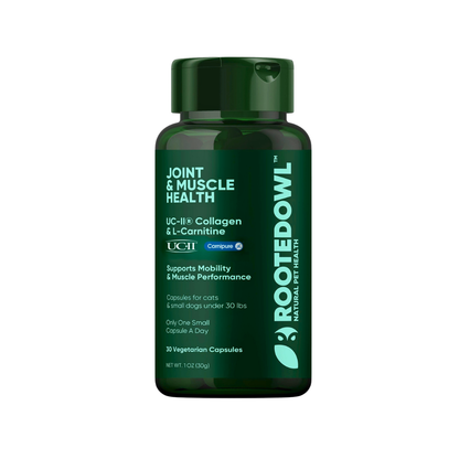 Rooted Owl Joint & Muscle Health | Natural UC-II Collagen