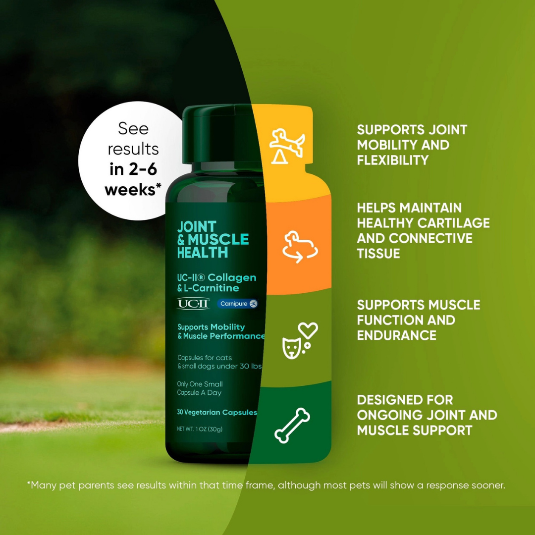 Rooted Owl Joint & Muscle Health | Natural UC-II Collagen