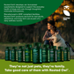 Rooted Owl Joint & Muscle Health | Natural UC-II Collagen