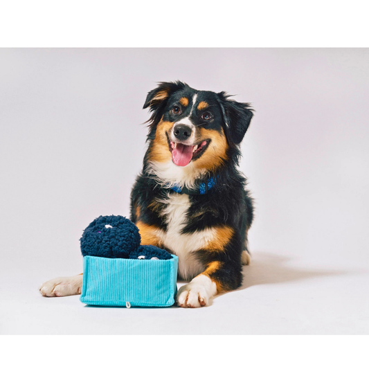 PLAY Picked Fresh Blue Beg-rries