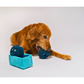 PLAY Picked Fresh Blue Beg-rries
