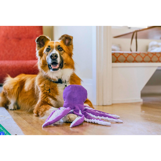 PLAY Ocean Buddies Opal the Octopus