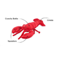 PLAY Ocean Buddies Lemmy the Lobster
