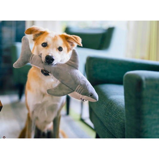 PLAY Ocean Buddies Great White Gabe