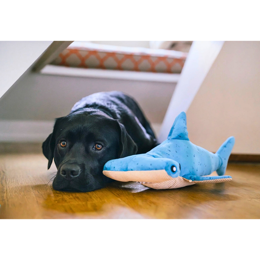 PLAY Ocean Buddies Bonk the Hammerhead