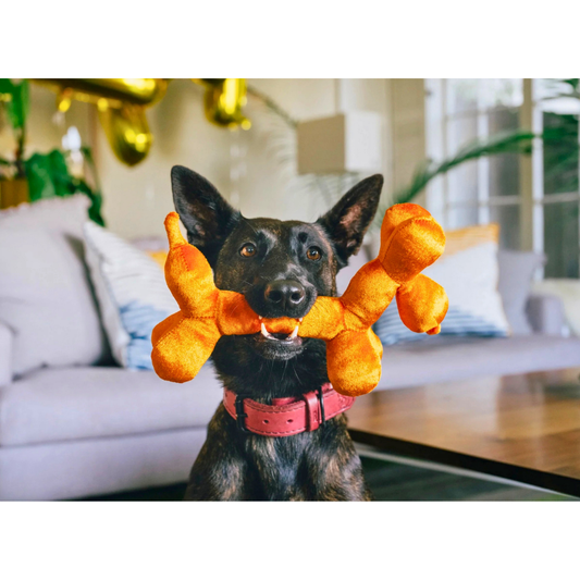 PLAY Party Animal Balloon Buddy