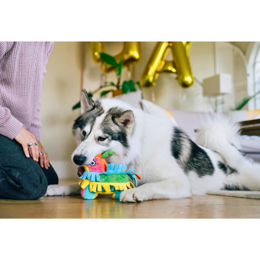 PLAY Party Animal Fiesta Fetch Pinata