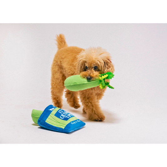 PLAY Picked Fresh Crunch Bunch