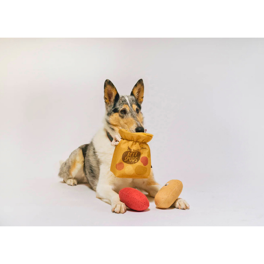 PLAY Picked Fresh Potato Pals