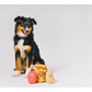 PLAY Picked Fresh Potato Pals