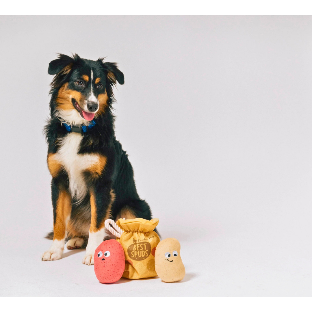 PLAY Picked Fresh Potato Pals