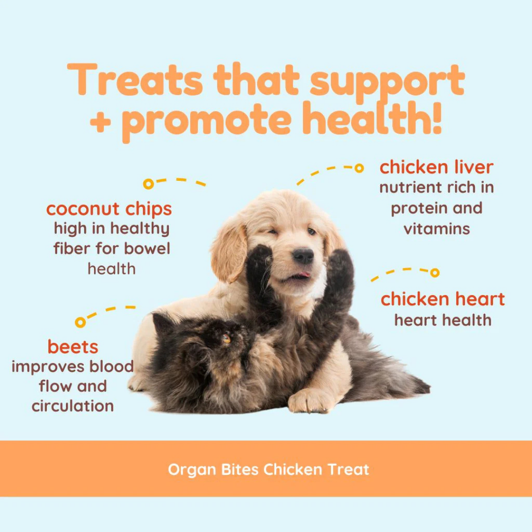 Cocotherapy Organ Treats | Chicken + Beets