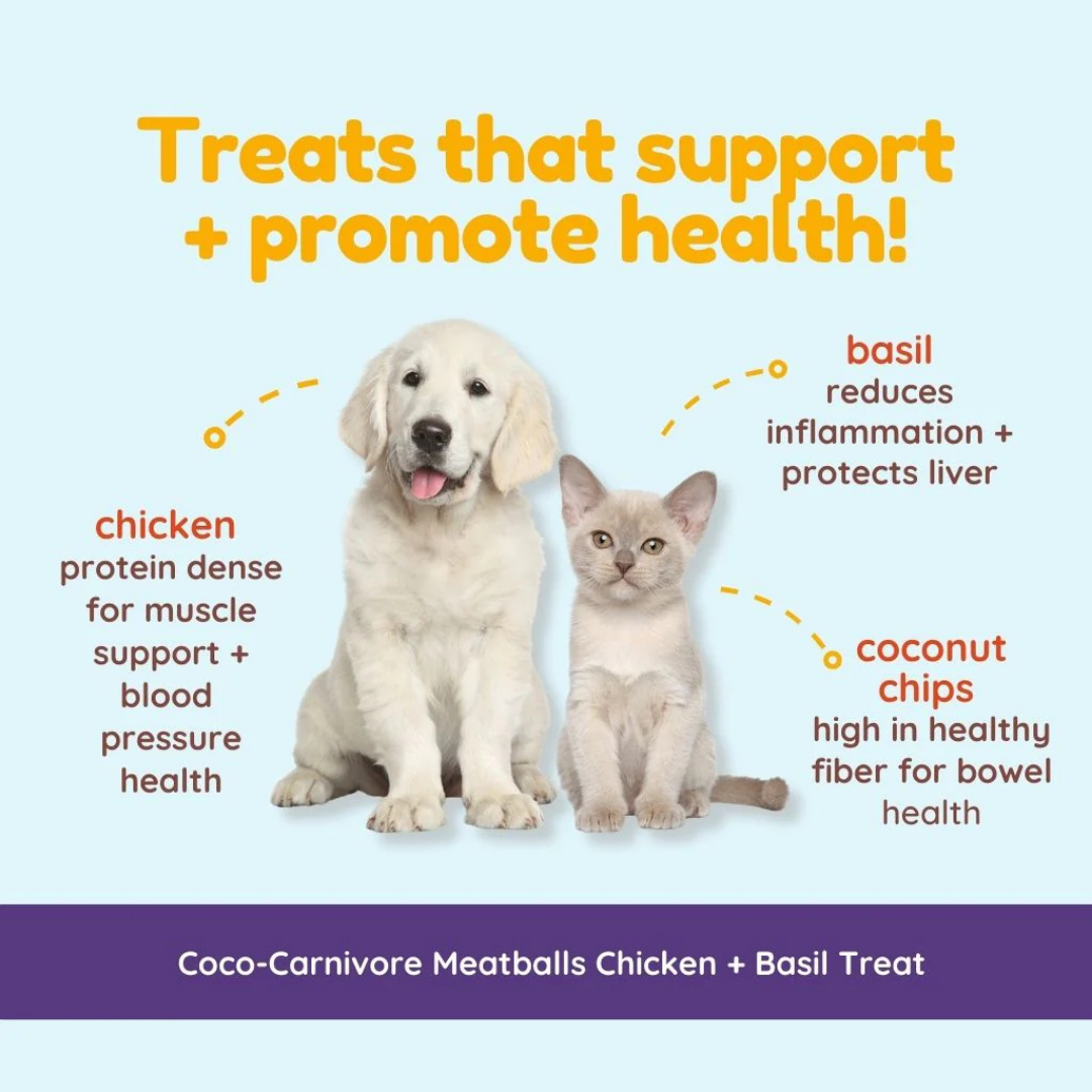 CocoTherapy Coco-Carnivore Meatballs | Chicken