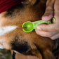 TickCheck Tick Remover Spoon | 3 Pack with Free Tick ID Card & Carabiner