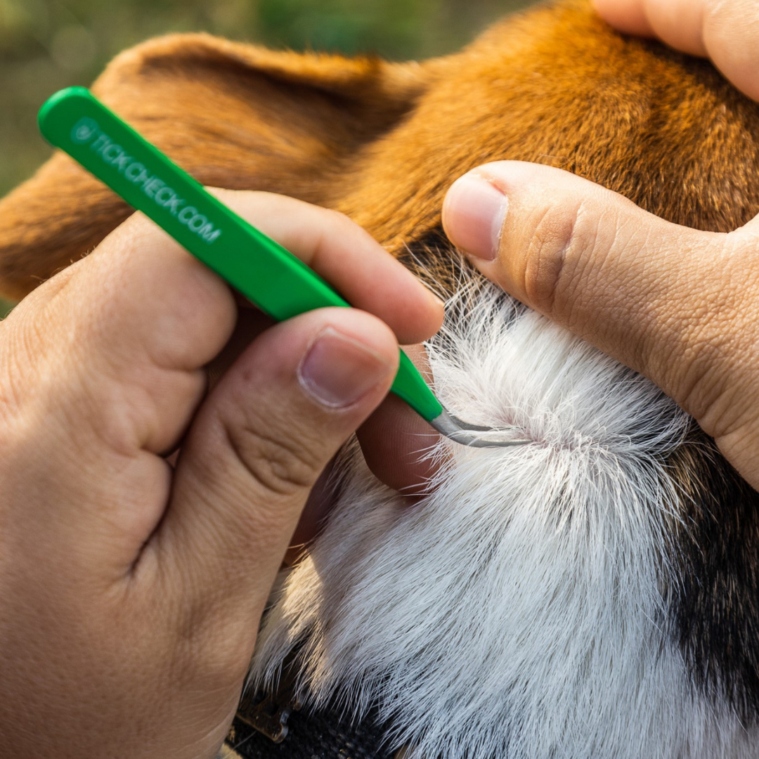 TickCheck Premium Tick Remover Kit