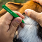 TickCheck Premium Tick Remover Kit