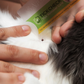 TickCheck Wallet Sized Tick Removal Card