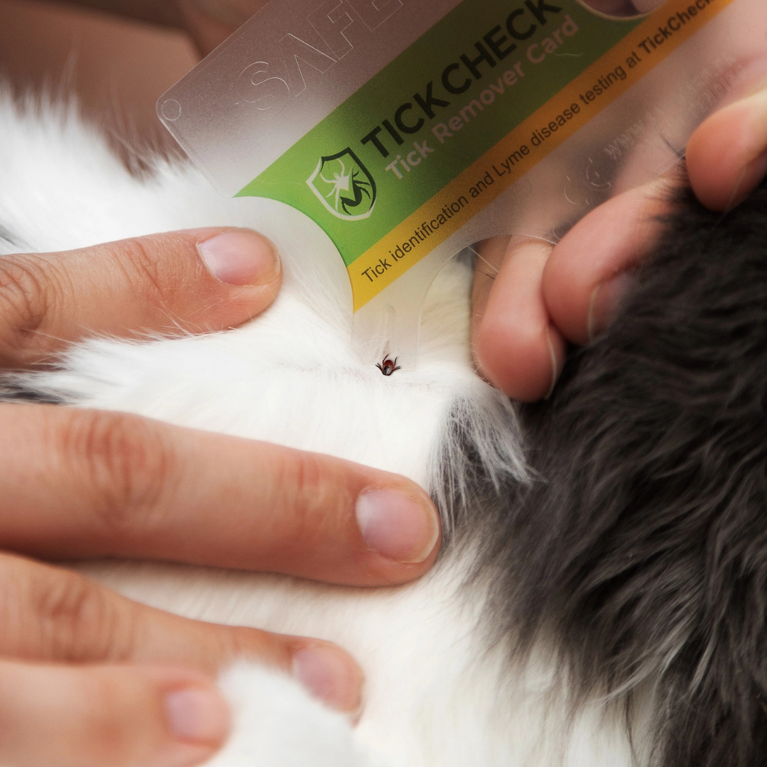 TickCheck Wallet Sized Tick Removal Card