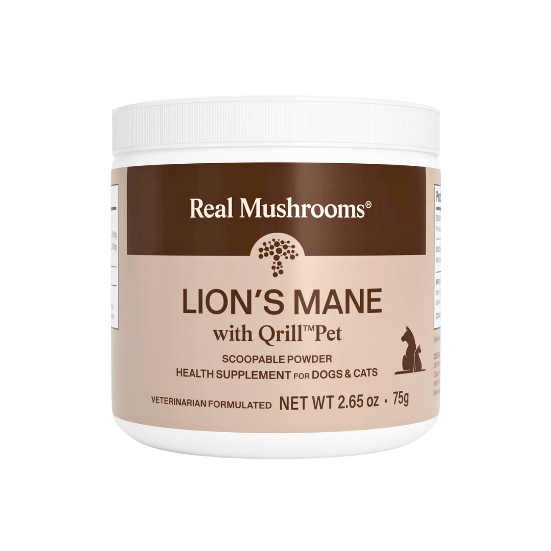 Real Mushrooms Lion’s Mane | Brain + Cognitive Support