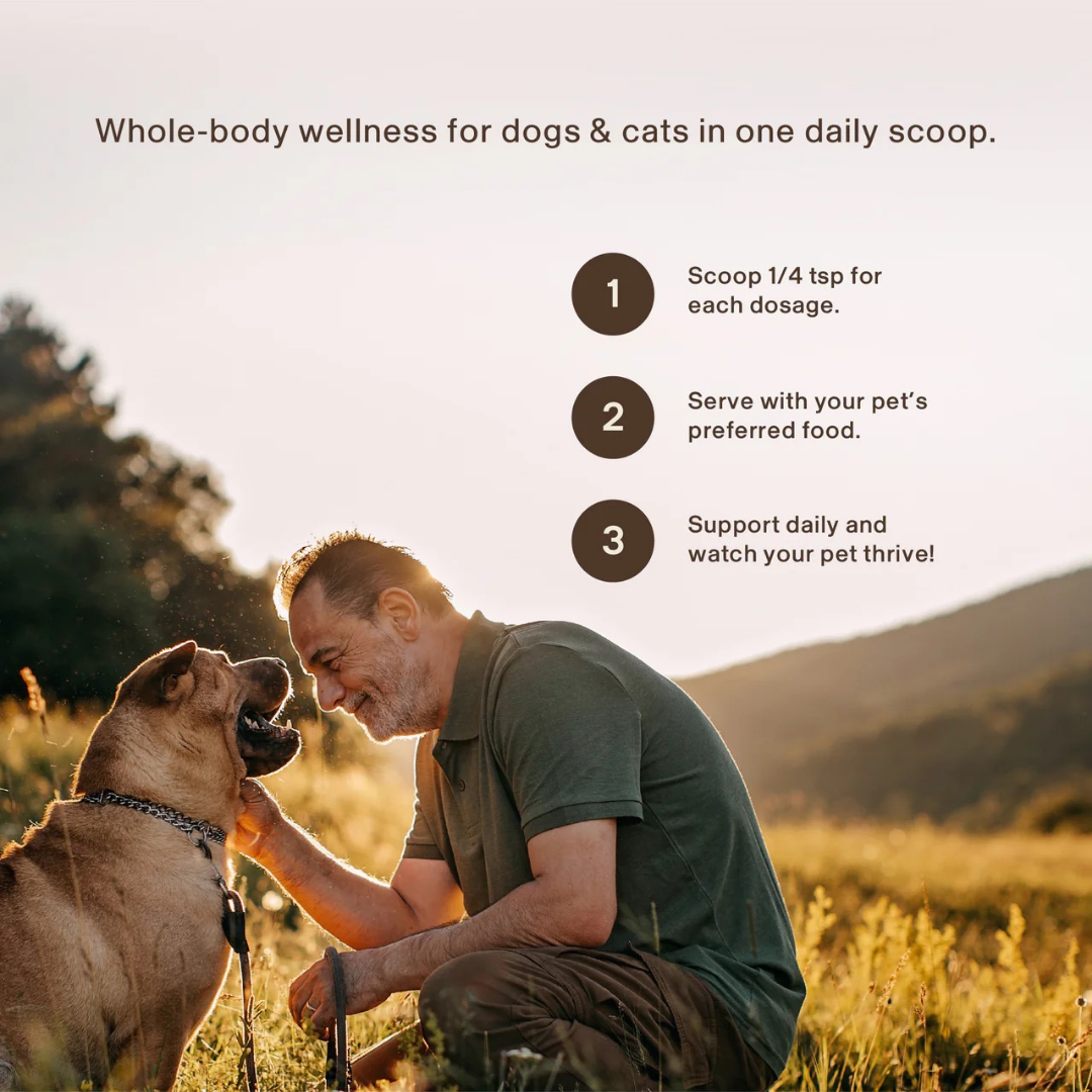 Real Mushrooms Pet Defenders | Immune Support + Gut Health