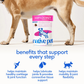 Native Pet Hip + Joint Mobility Care Chews | Mobility Support with UC-II Collagen