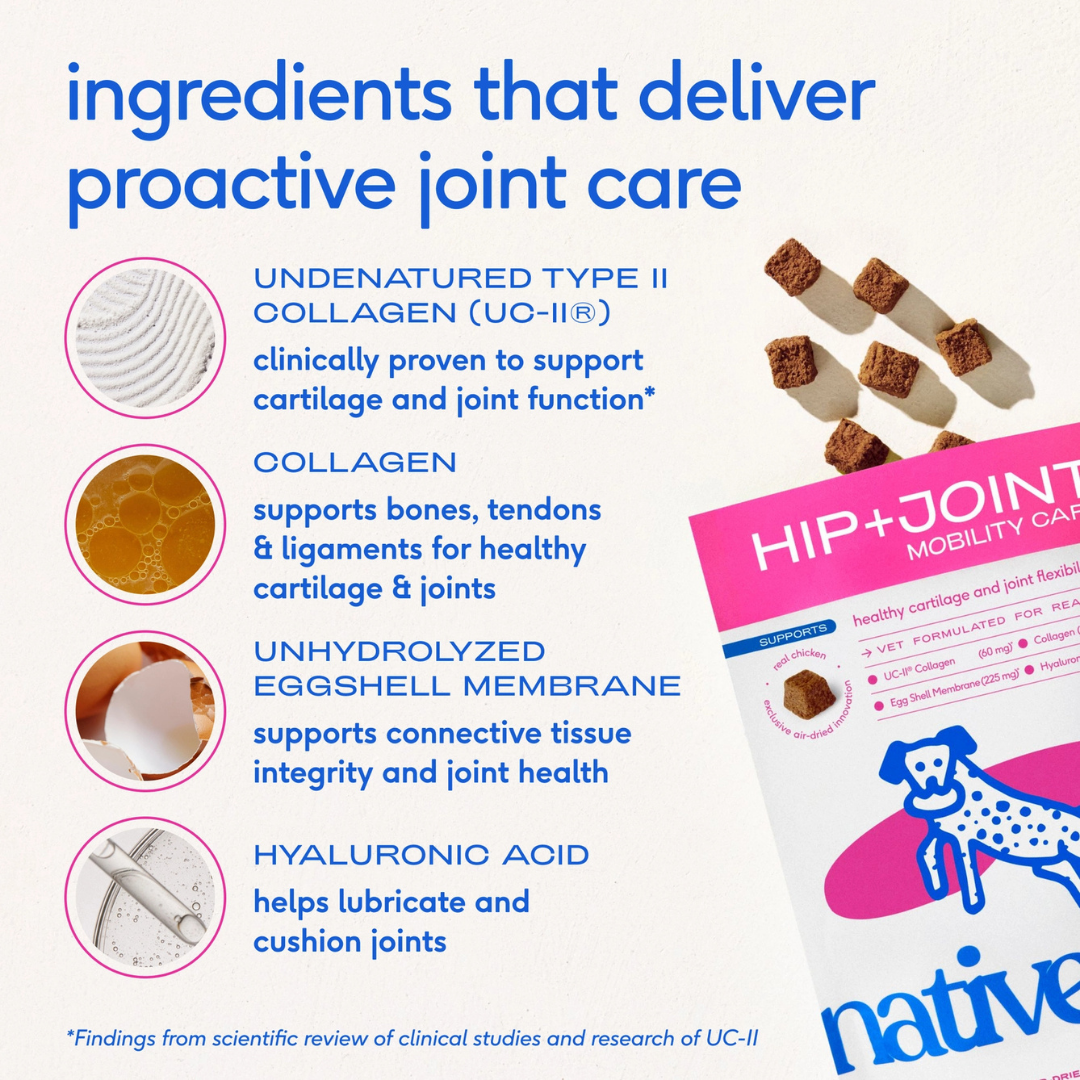 Native Pet Hip + Joint Mobility Care Chews | Mobility Support with UC-II Collagen