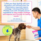 Native Pet Hip + Joint Mobility Care Chews | Mobility Support with UC-II Collagen