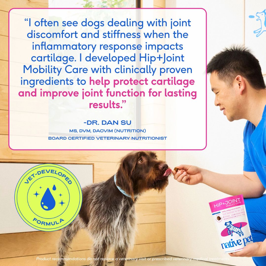 Native Pet Hip + Joint Mobility Care Chews | Mobility Support with UC-II Collagen