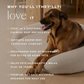 HigherDOSE Infrared PEMF Pet Bed | Natural PEMF + Far Infrared Therapy Bed for Dogs