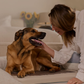 HigherDOSE Infrared PEMF Pet Bed | Natural PEMF + Far Infrared Therapy Bed for Dogs