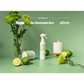Grow Natural Candle | Green Tea Matcha