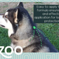 Natural Flea + Tick Squeeze-On