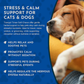 Animal Essentials Tranquil Times Soft Chews | Organic Herbal Calming + Anxiety Support