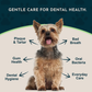 Animal Essentials Dental Support Soft Chews | Natural Anti-Plaque + Tartar Support