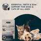 Animal Essentials Dental Support Soft Chews | Natural Anti-Plaque + Tartar Support