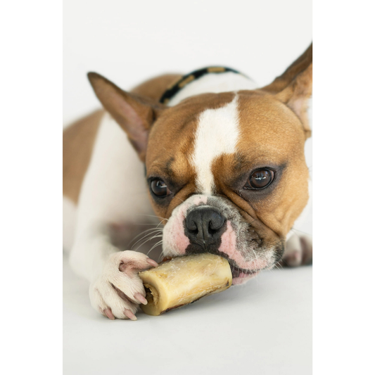 Winnie Lou Bison Marrow Bone - 2"